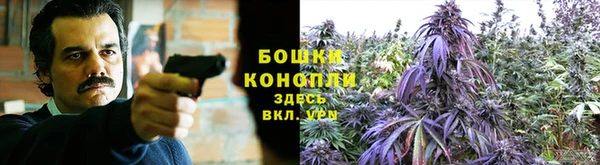 бошки Нефтекумск