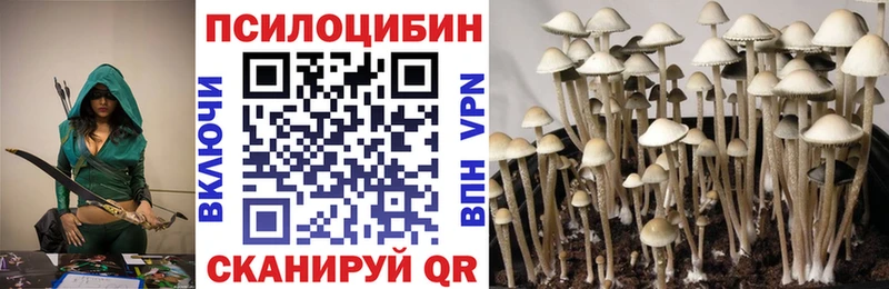 Псилоцибиновые грибы прущие грибы mega маркетплейс Ейск