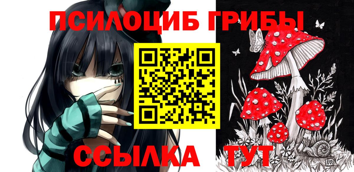Псилоцибиновые грибы Psilocybine cubensis Ейск