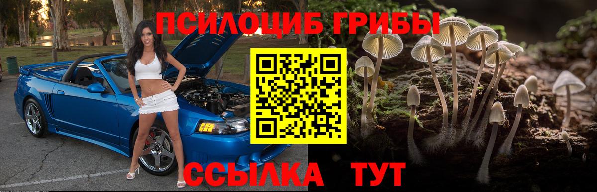 Псилоцибиновые грибы GOLDEN TEACHER Ейск