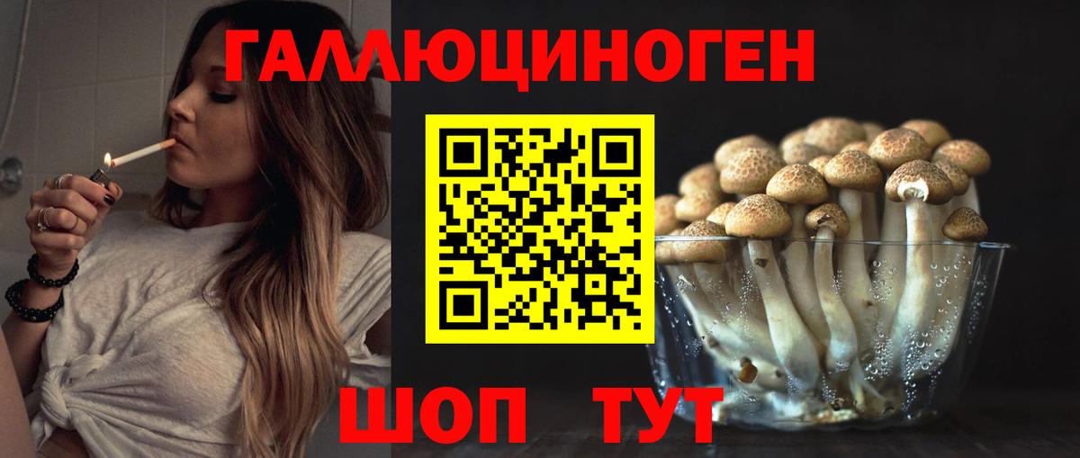 Галлюциногенные грибы Magic Shrooms  закладка  Галлюциногенные грибы ЛСД  Ейск 