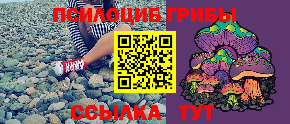 Псилоцибиновые грибы ЛСД  Вход с VPN  Ейск 